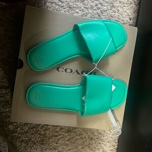 Brand new Kelly Green Sandals